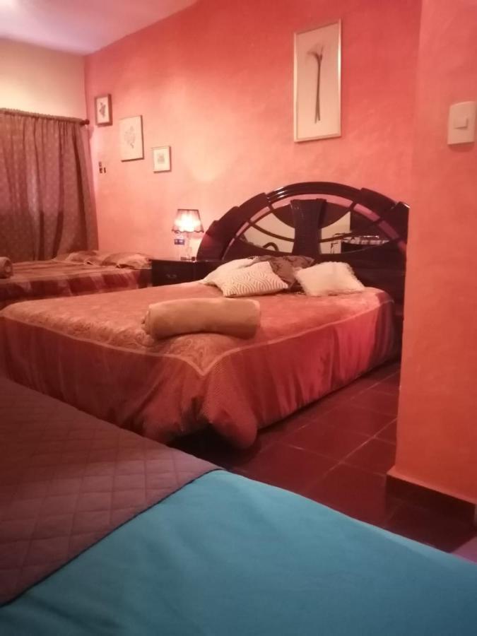 Portal De Los Farolitos Concepción de Ataco Eksteriør billede
